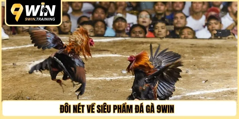 Đôi nét về siêu phẩm đá gà 9WIN 